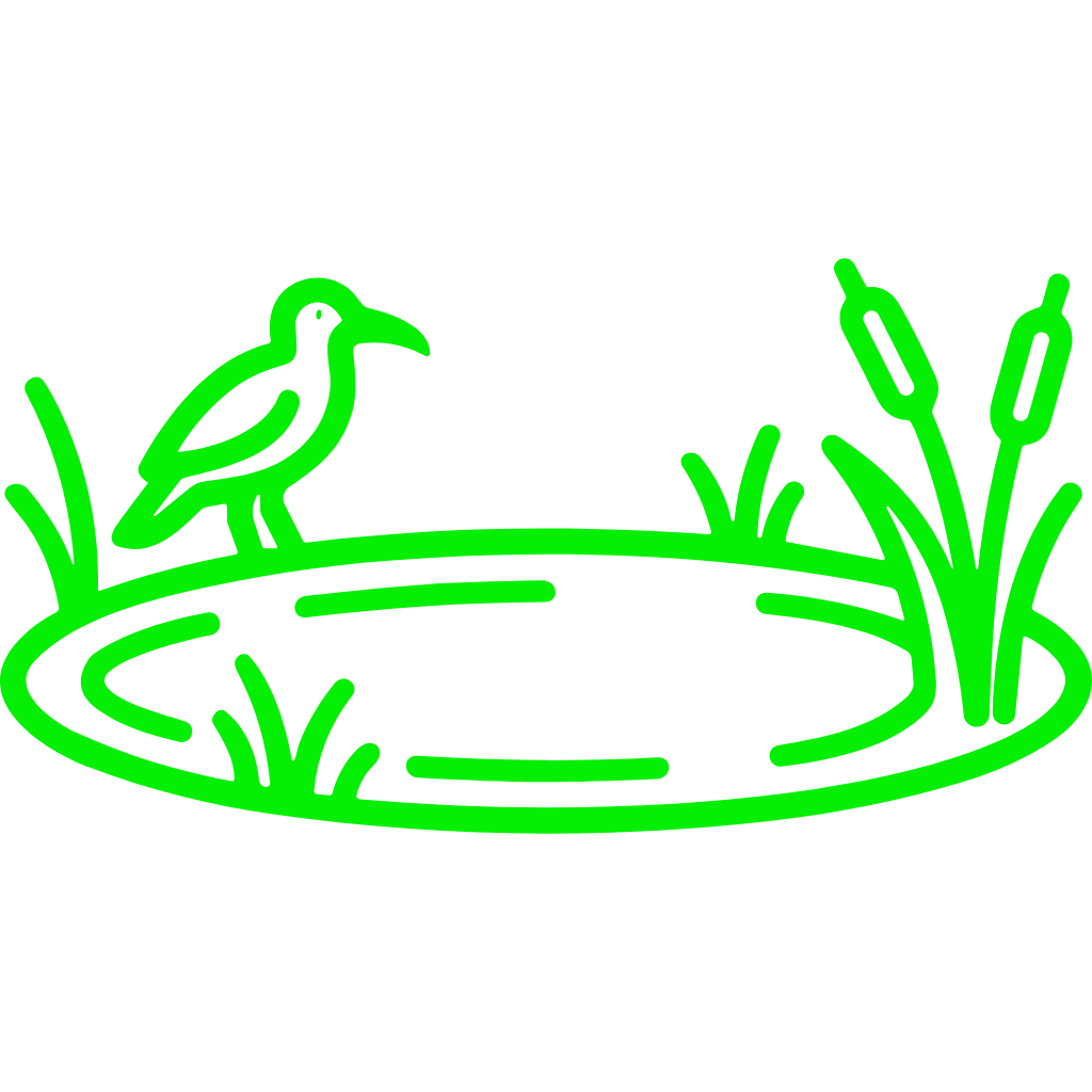 pond